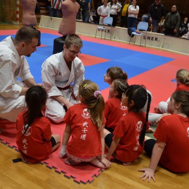 Pohár bojovníků 6.12.2025