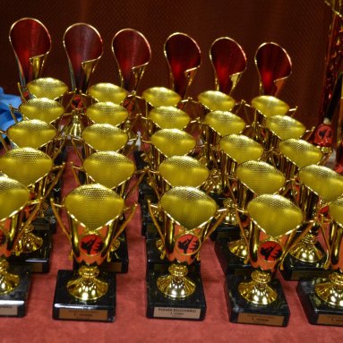 Pohár bojovníků 6.12.2025