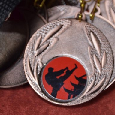 Pohár bojovníků 6.12.2025