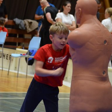 Pohár bojovníků 6.12.2025