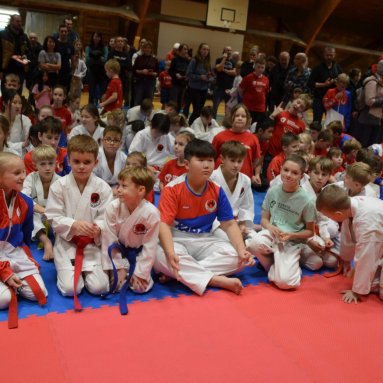 Pohár bojovníků 6.12.2025