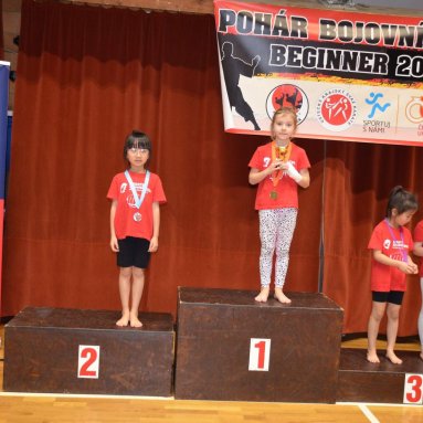 Pohár bojovníků 6.12.2025