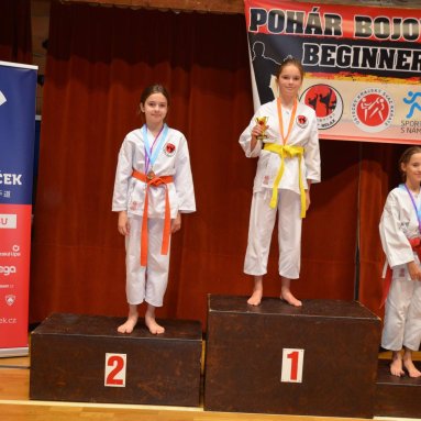 Pohár bojovníků 6.12.2025