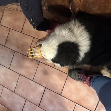 Tradiční výstup na Jedlovou 29.12.2025