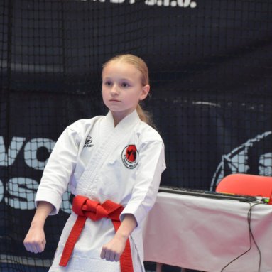 Memoriál J.Rajcherta