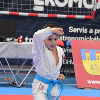 Memoriál J.Rajcherta