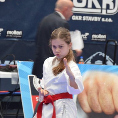 Memoriál J.Rajcherta