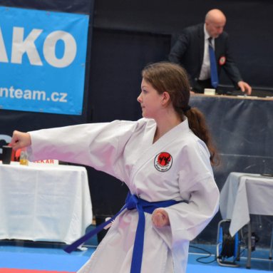 Memoriál J.Rajcherta