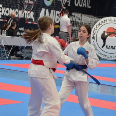 Memoriál J.Rajcherta