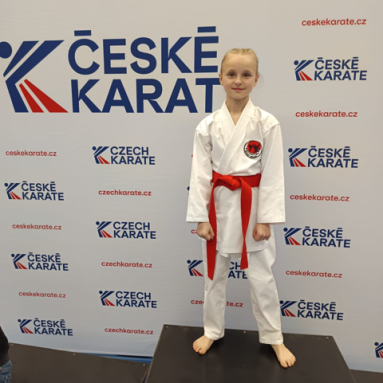1.kolo Národního poháru Plzeň