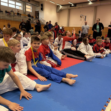 Mistrovství kraje v karate+beginner 16/5/2026