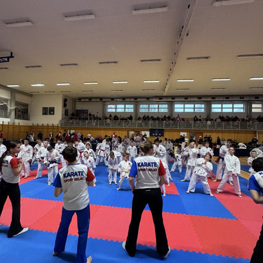 Mistrovství kraje v karate+beginner 16/5/2026