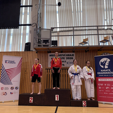 Mistrovství kraje v karate+beginner 16/5/2026