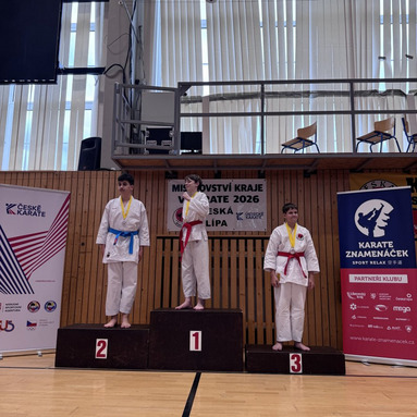 Mistrovství kraje v karate+beginner 16/5/2026