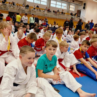 Mistrovství kraje v karate+beginner 16/5/2026