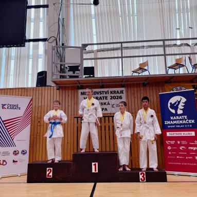 Mistrovství kraje v karate+beginner 16/5/2026