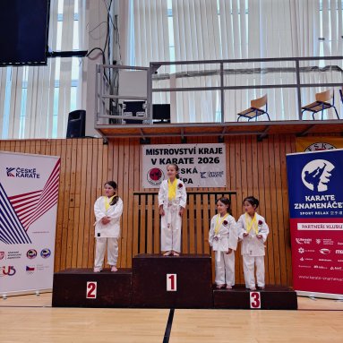 Mistrovství kraje v karate+beginner 16/5/2026