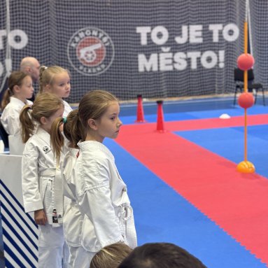 Mistrovství České republiky Beginner 2026