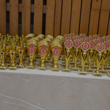 Mistrovství ČR FSKA Funakoshi Cup 2026