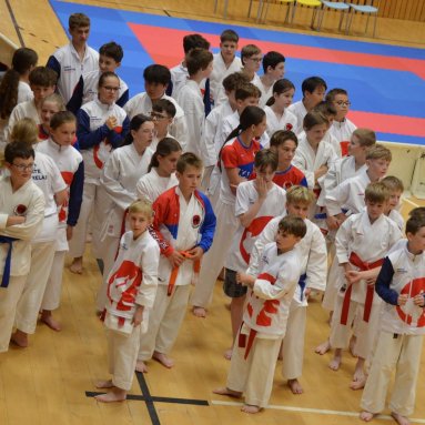 Mistrovství ČR FSKA Funakoshi Cup 2026
