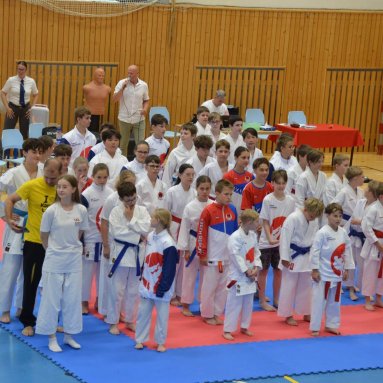 Mistrovství ČR FSKA Funakoshi Cup 2026