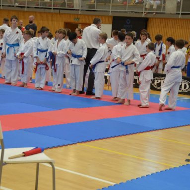 Mistrovství ČR FSKA Funakoshi Cup 2026
