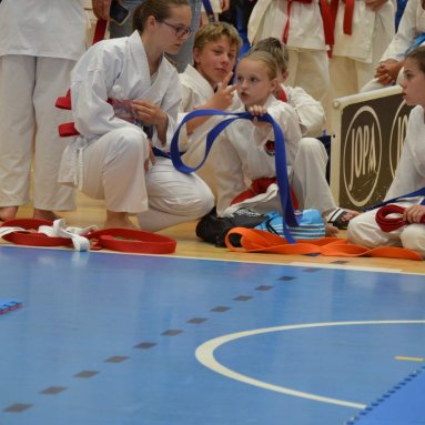 Mistrovství ČR FSKA Funakoshi Cup 2026
