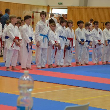 Mistrovství ČR FSKA Funakoshi Cup 2026