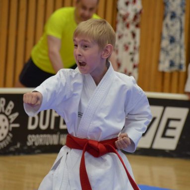 Mistrovství ČR FSKA Funakoshi Cup 2026