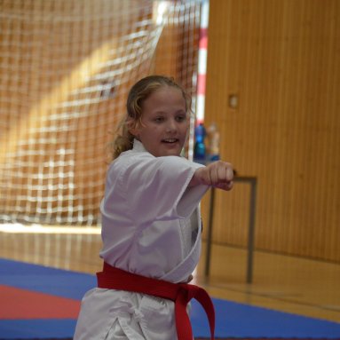 Mistrovství ČR FSKA Funakoshi Cup 2026
