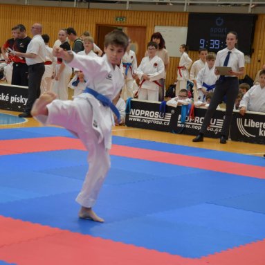 Mistrovství ČR FSKA Funakoshi Cup 2026