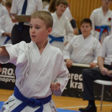 Mistrovství ČR FSKA Funakoshi Cup 2026