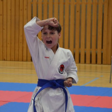 Mistrovství ČR FSKA Funakoshi Cup 2026