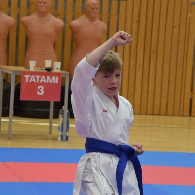Mistrovství ČR FSKA Funakoshi Cup 2026