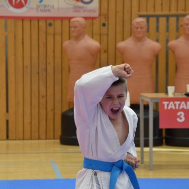 Mistrovství ČR FSKA Funakoshi Cup 2026