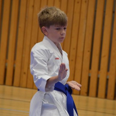 Mistrovství ČR FSKA Funakoshi Cup 2026