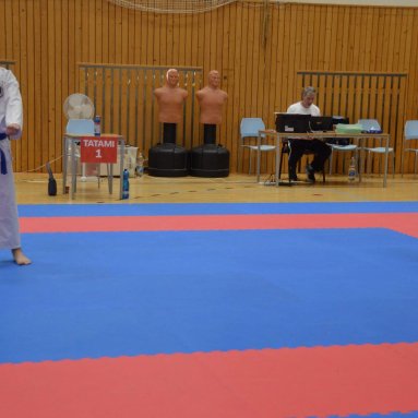 Mistrovství ČR FSKA Funakoshi Cup 2026