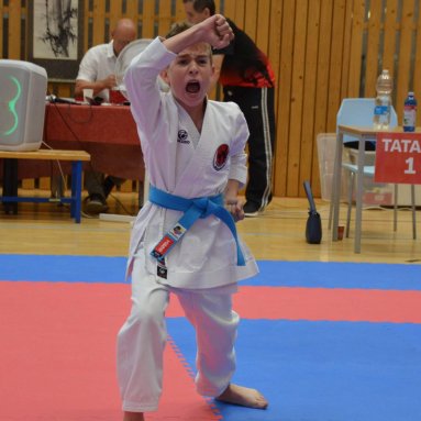 Mistrovství ČR FSKA Funakoshi Cup 2026