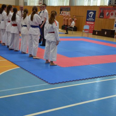 Mistrovství ČR FSKA Funakoshi Cup 2026