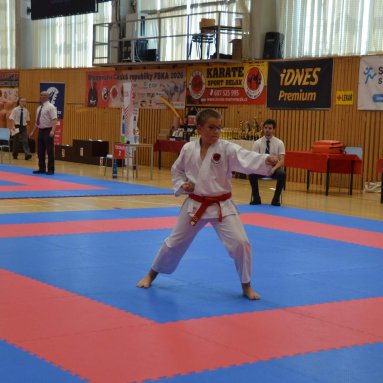 Mistrovství ČR FSKA Funakoshi Cup 2026
