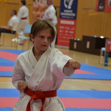 Mistrovství ČR FSKA Funakoshi Cup 2026