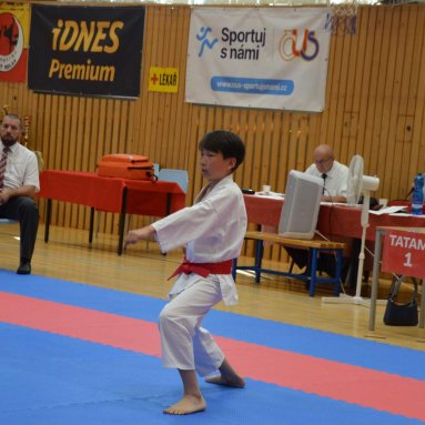 Mistrovství ČR FSKA Funakoshi Cup 2026
