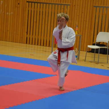 Mistrovství ČR FSKA Funakoshi Cup 2026