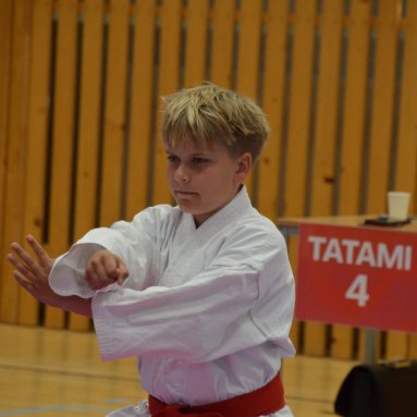 Mistrovství ČR FSKA Funakoshi Cup 2026
