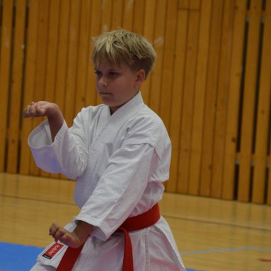 Mistrovství ČR FSKA Funakoshi Cup 2026
