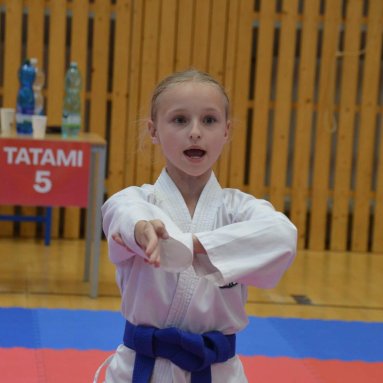 Mistrovství ČR FSKA Funakoshi Cup 2026