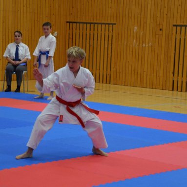 Mistrovství ČR FSKA Funakoshi Cup 2026