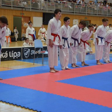 Mistrovství ČR FSKA Funakoshi Cup 2026
