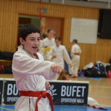 Mistrovství ČR FSKA Funakoshi Cup 2026