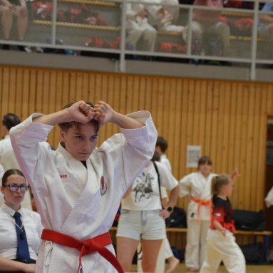 Mistrovství ČR FSKA Funakoshi Cup 2026